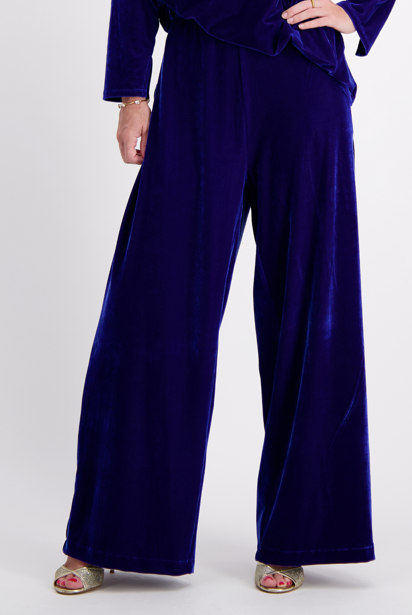 Jessie Wide Leg Velvet Pants in luxurious royal blue velvet featuring a flowing wide-leg silhouette, side pull tabs, and floor-length cut, paired with metallic sandals against a light background